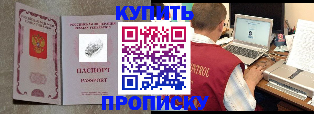 прописка поиск в Димитровграде