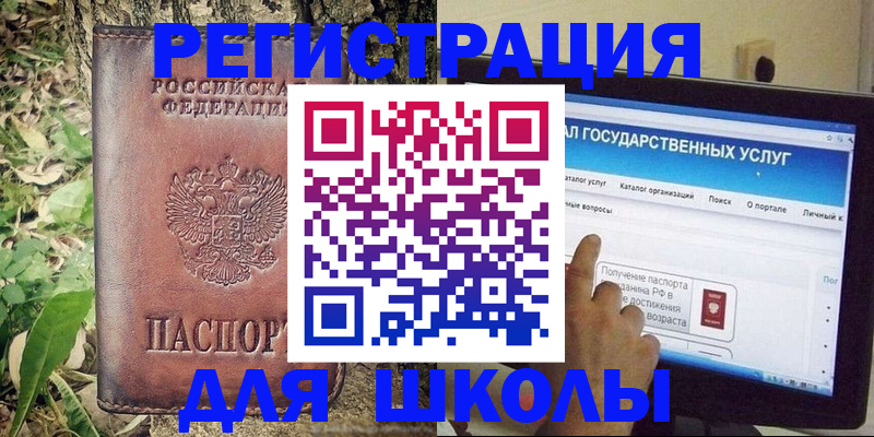 прописка для школы в Димитровграде